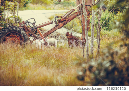 Old agricultural machinery covered with rust 116239120