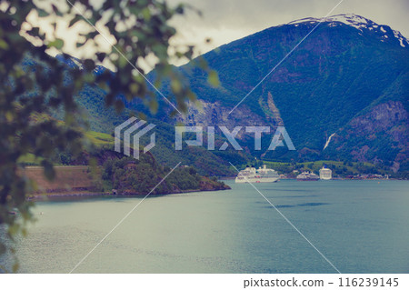 Cruise ship ferryboat on norwegian fjord 116239145
