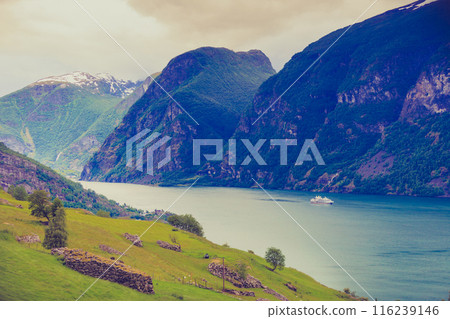 Cruise ship ferryboat on norwegian fjord 116239146