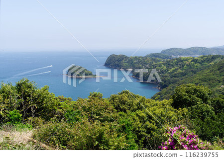Ocean view from Tomogashima Island, Wakayama Prefecture Ocean view from Tomogashima Island, Wakayama Prefecture 116239755