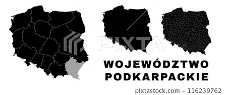 Subcarpathian map, Polish state. Poland administrative provinces, boroughs, and municipalities. 116239762