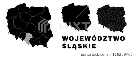 Silesian map, Polish state. Poland administrative provinces, boroughs, and municipalities. 116239765