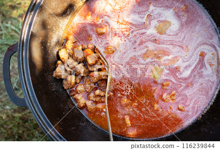 Sizzling meat in a pan with colorful, bubbling sauce. The vibrant colors and textures make it ideal for culinary themes. Sizzling meat in a pan with colorful, bubbling sauce. The vibrant colors and textures make it ideal for culinary themes. 116239844