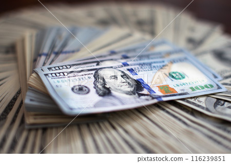 A lot of dollars. A bundle of money. The concept of wealth. Dollars 116239851