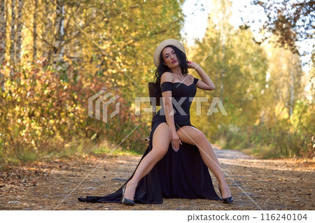 Confident brunette model sitting on a chair in autumn forest 116240104