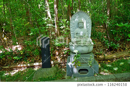 Sendai, the city of fresh greenery, Kitayama, Rinno-ji Temple, Approach, Path to Enlightenment, Amida Buddha Sendai, the city of fresh greenery, Kitayama, Rinno-ji Temple, Approach, Path to Enlightenment, Amida Buddha 116240158