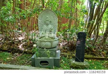 Sendai, the city of fresh greenery, Kitayama, Rinno-ji Temple, approach, path to enlightenment, Bodhisattva Seishi Sendai, the city of fresh greenery, Kitayama, Rinno-ji Temple, approach, path to enlightenment, Bodhisattva Seishi 116240159