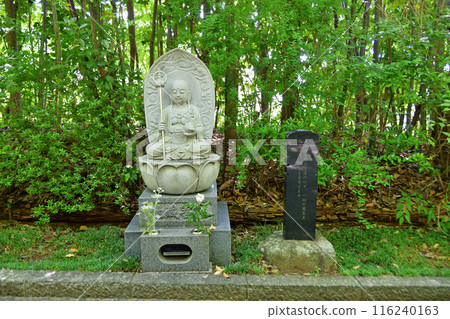Sendai, the city of fresh greenery, Kitayama Rinnoji Temple, Approach, Path to Enlightenment, Jizo Bodhisattva 116240163