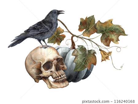 Black pumpkin, human skull, black raven, pumpkin leaves and butterflies. Hand drawn watercolor botanical illustration. Suitable for decoration, cards, autumn posters, Thanksgiving, Halloween 116240168