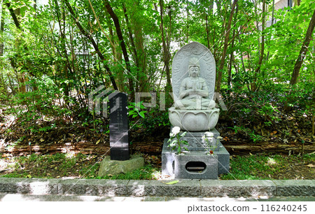 Sendai, the city of fresh greenery, Kitayama Rinnoji Temple, Approach, Path to Enlightenment, Bodhisattva Samantabhadra 116240245