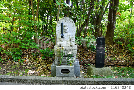 Sendai, the city of fresh greenery, Kitayama Rinnoji Temple, Approach, Path to Enlightenment, Acala 116240248