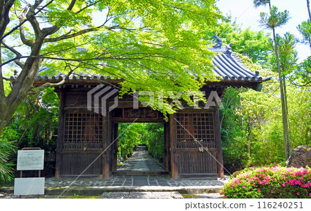 仙台新綠之都、輪王寺、三門 116240251