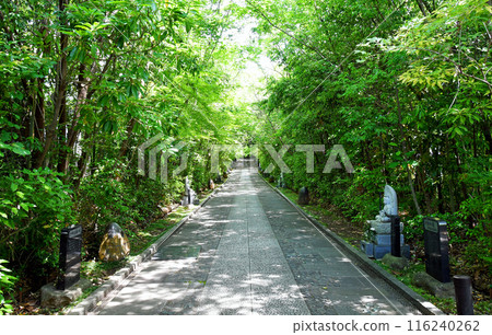 仙台，新綠之都，輪王寺路，十三佛成道 116240262