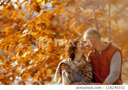 happy romantic couple in park hugging happy romantic couple in park hugging 116240332