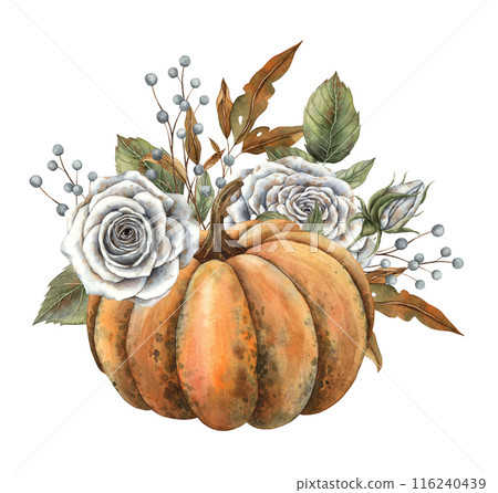 Orange pumpkin, white roses, dry autumn leaves and berries. Hand drawn watercolor illustration in vintage botanical style. Suitable for Halloween, Thanksgiving, cards, posters, invitations design 116240439