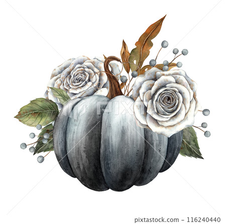 Black pumpkin, white roses, dry autumn leaves and berries. Hand drawn watercolor illustration in vintage botanical style. Suitable for Halloween, Thanksgiving, cards, posters, invitations design Black pumpkin, white roses, dry autumn leaves and berries. Hand drawn watercolor illustration in vintage botanical style. Suitable for Halloween, Thanksgiving, cards, posters, invitations design 116240440