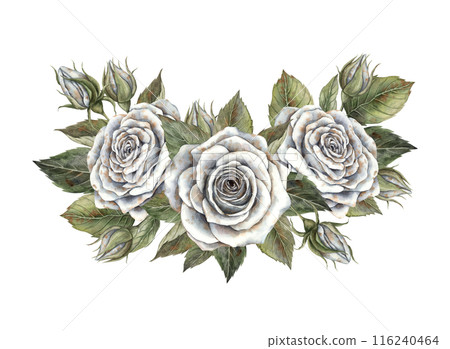 Composition of white roses with green leaves. Hand drawn watercolor illustration in botanical style. For design, decorations, cards, invitations for Halloween, wedding, Mother's Day, Valentine's Day 116240464