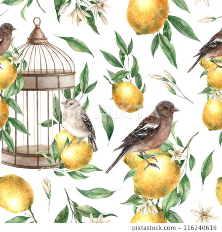 Seamless pattern of yellow lemons, leaves, birds and copper vintage cage on a white background. Watercolor drawing in vintage style. Drawing for interior, cards, wedding design, invitations, textiles 116240616