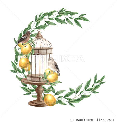 A wreath of green leaves, with a bronze cage, brown birds and yellow lemons. Isolated watercolor illustration in vintage style. Handmade composition for design of cards, wedding design, invitations. 116240624