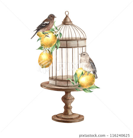 Brown birds, yellow lemons with leaves, bronze cage with stand. Isolated watercolor illustration in vintage style. Handmade composition for interior, cards, wedding design, invitations, textiles 116240625