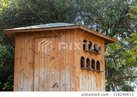 Large wooden birdhouse in the park Large wooden birdhouse in the park 116240653