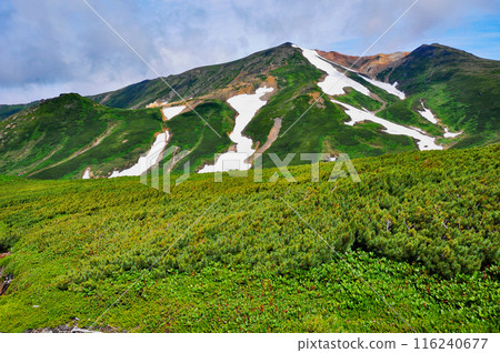 從北海道大雪山橫斷中岳支線仰望旭岳 從北海道大雪山橫斷中岳支線仰望旭岳 116240677