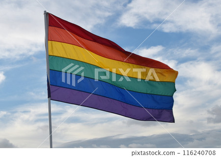 Colorful rainbow gay pride flag against the blue sky, LGBTQ symbol 116240708