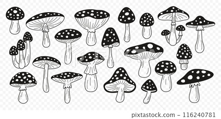 Flat Vector Hand Drawn Black and White Cartoon Fly Agaric Mushrooms Outline Illustration. Amanita Muscaria, Fly Agaric Illustration, Mushrooms. Magic Mushroom Icons, Design Template 116240781