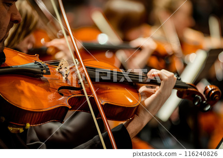 Violinists in an orchestra during a performance 116240826
