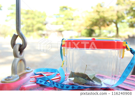 Insect cage park 116240908