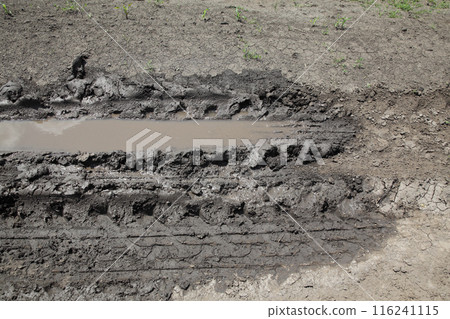 Mud, dirt in field Mud, dirt in field 116241115