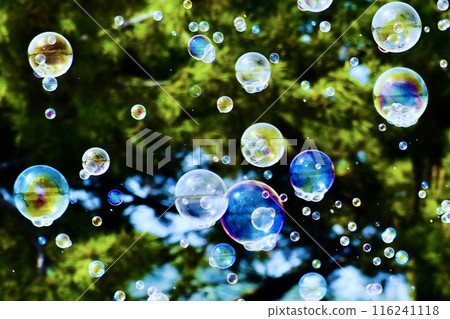 Soap bubbles flying through a erosion control forest with the horizon of the coast reflected in it Soap bubbles flying through a erosion control forest with the horizon of the coast reflected in it 116241118