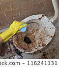 Dirty toilet and bathroom 116241131