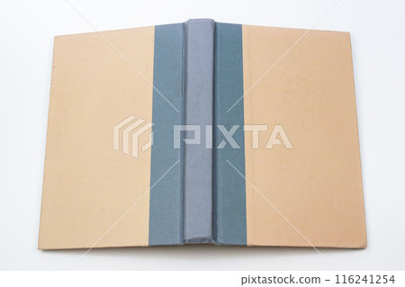 Rare and Vintage Antique Book Cover 116241254