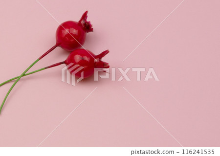 Colorful decorative berries texture with copy space, background with place for text 116241535