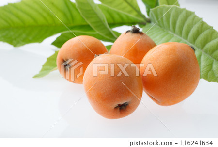 Loquat　White background 116241634