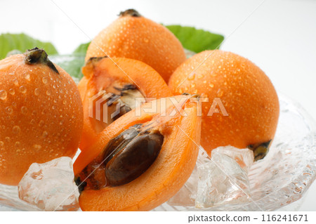 枇杷白色背景 116241671