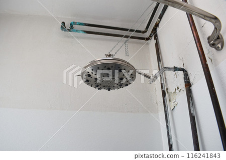 A large old shower head against a wall with peeling paint and rusty pipes 116241843