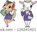 Animal Office Lady 116241921