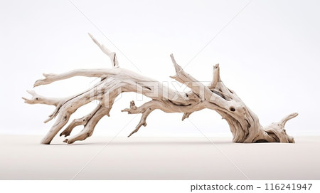 Beautiful winding driftwood for product photography. Grape branch on a table with beautiful sunlight 116241947