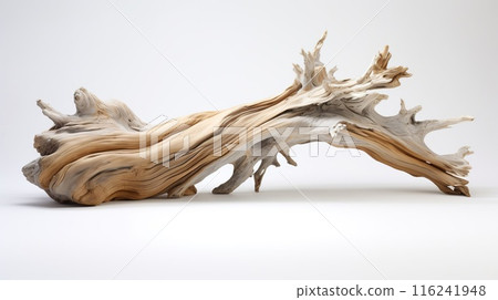 Beautiful winding driftwood for product photography. Grape branch on a table with beautiful sunlight 116241948