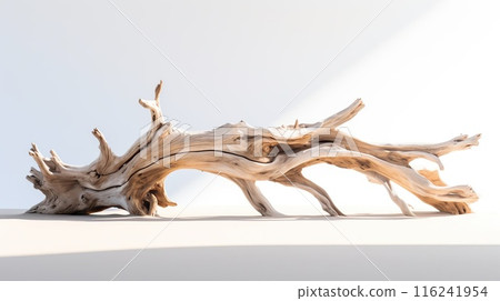 Beautiful winding driftwood for product photography. Grape branch on a table with beautiful sunlight 116241954