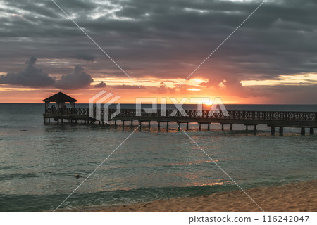 Tropical carribbean beach 116242047