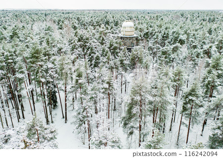 Old observatory tower in the Glen park, in fir forest. Tallinn, Estonia. 116242094