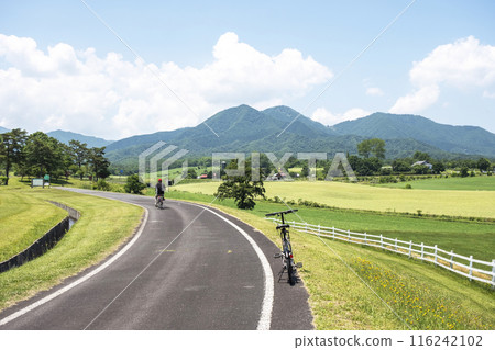 Fresh greenery and early summer cycling image (Hiruzen Plateau) Fresh greenery and early summer cycling image (Hiruzen Plateau) 116242102
