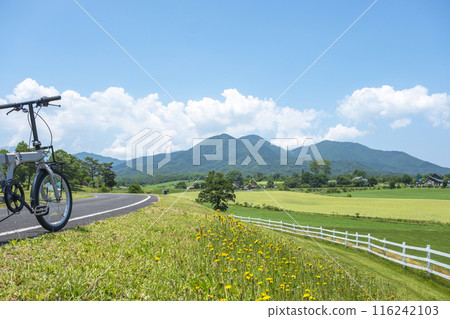 Fresh greenery and early summer cycling image (Hiruzen Plateau) 116242103