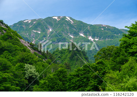 淺草山殘雪 淺草山殘雪 116242120