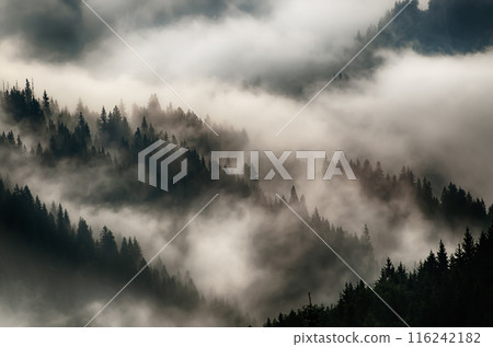 Misty mountain landscape 116242182