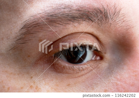 Dark brown human eye close up, view of deep black man eye 116242202
