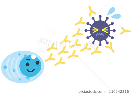 Plasma cells that fire antibodies against pathogens 116242216